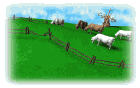 Vivir en el campo