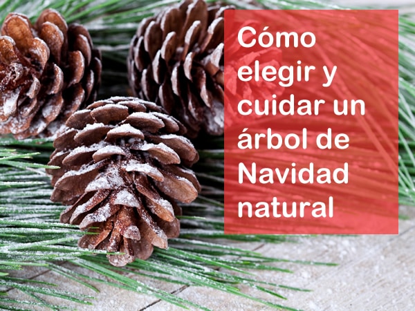 árbol navidad natural