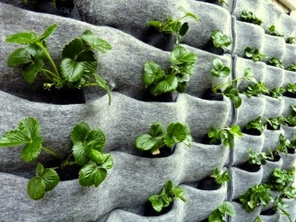 20 ideas sorprendentes para hacer jardines verticales en casa ... Balcón Con Casas decoración