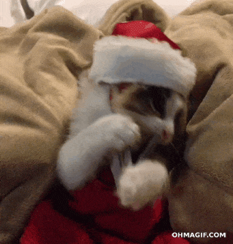 Resultado de imagen de las mascotas no son regalos para navidad gif