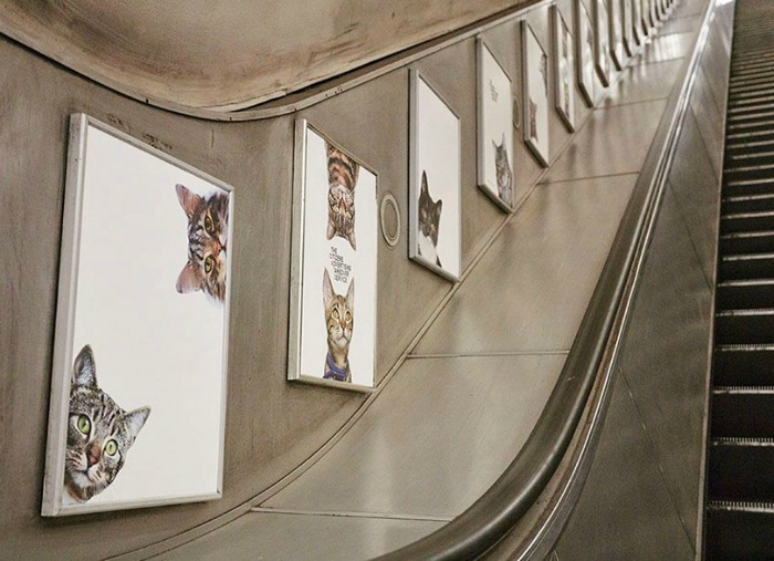 carteles gatos en el metro de Londres