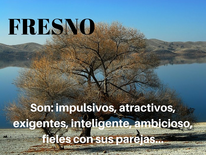 Fresno (El) Fresno (El)