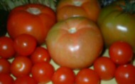 Tomate salsa