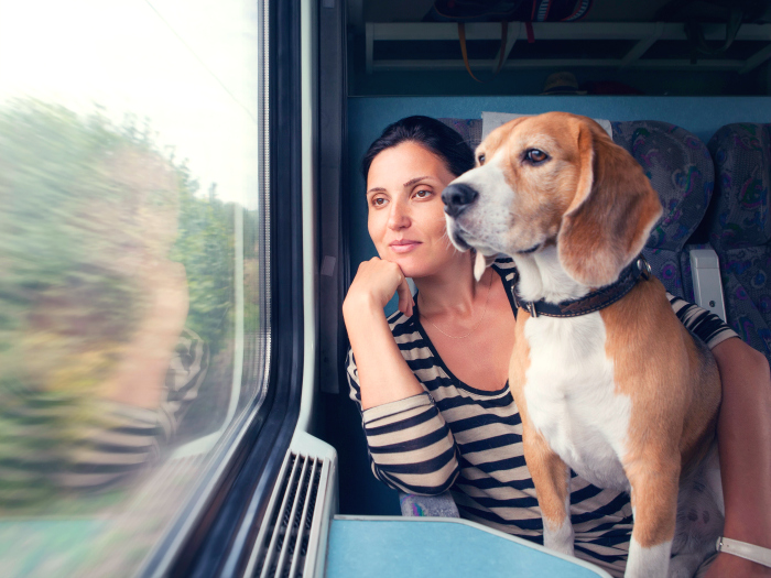 Viajar tren perro