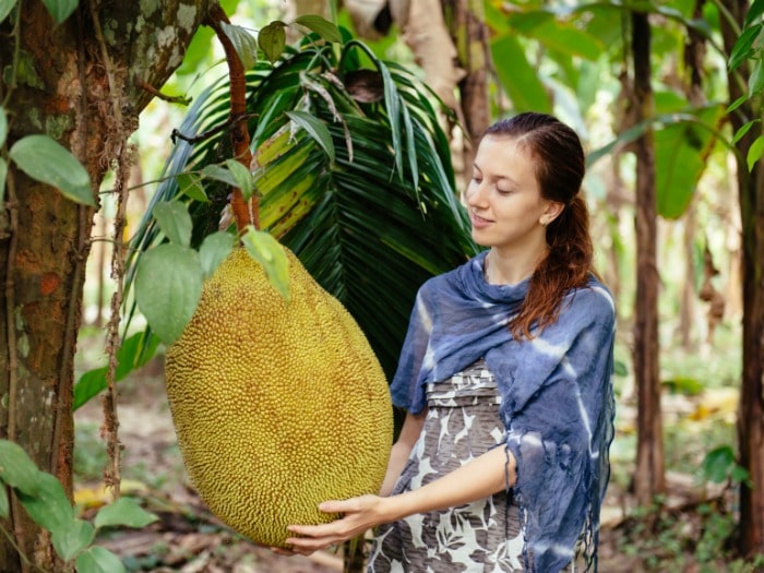 13 Recetas con Jackfruit o Jaca que harán que quieras ser vegano