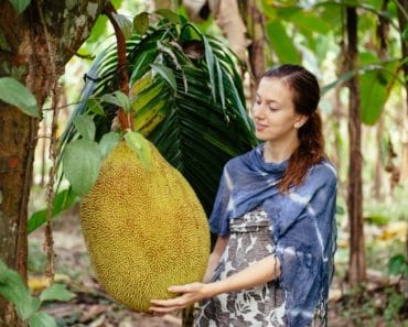 Curiosidades y recetas con Jackfruit o Fruta del Pan (Aptas para veganos)