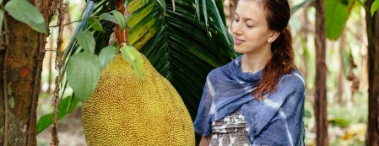 Curiosidades y recetas con Jackfruit o Fruta del Pan (Aptas para veganos)