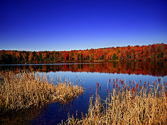 otoño