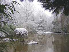 paisaje romántico