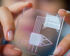 ¿Por qué la nanotecnología es importante para las empresas?