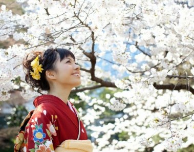 japonesa-yakura-flores-cerezos