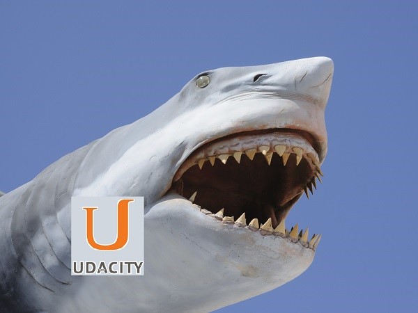 Udacity: ¿una disrupción o llamada de atención para las universidades?