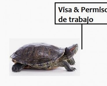 Visa y permisos de trabajo para empresas extranjeras inversoras en España