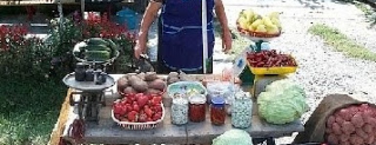 Internet y desintermediación agrícola