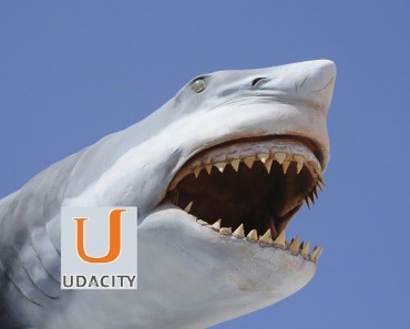 Udacity: trabajo garantizado a los alumnos matriculados (la segunda revolución de los MOOCs)