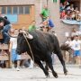 fiesta polémicas en España con animales