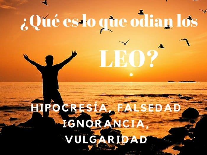 ¿Qué odia Leo?