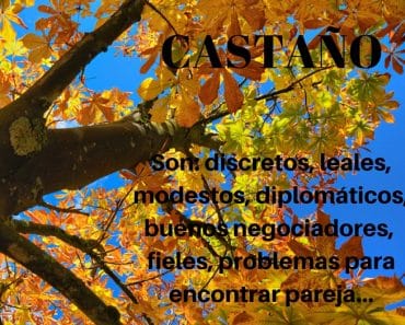 Significado del Castaño en el horóscopo Celta