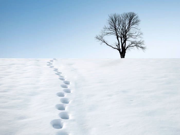 Huellas de pisadas en la nieve, frío