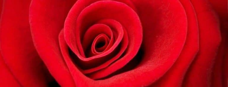 5 Rituales de Amor infalibles