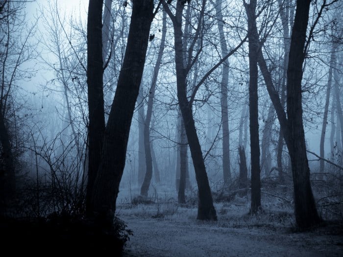 Rituales de Magia Negra en el bosque