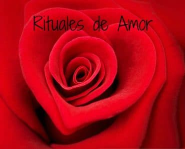 Rituales de Amor: Rosas rojas