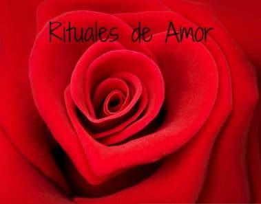 Rituales de Amor: Rosas rojas