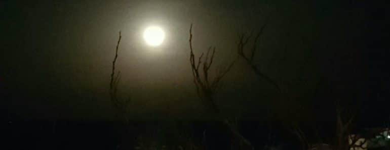 Luna Llena o Nueva del 16 Octubre 2016