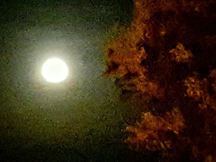 Luna llena 16 Octubre 2016