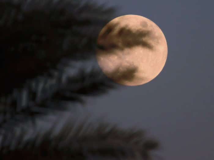 Conseguirlo todo con la Luna Llena en Escorpio