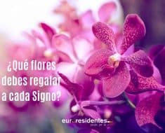 ¿Cuáles son mis flores según mi horóscopo?