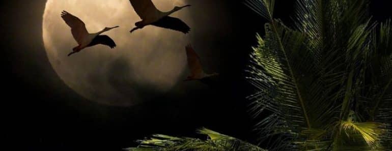 La Luna Nueva del 30 de Agosto nos aporta realidad