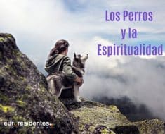 Los Perros y la Espiritualidad