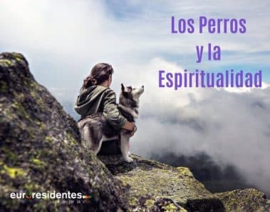 Los Perros y la Espiritualidad