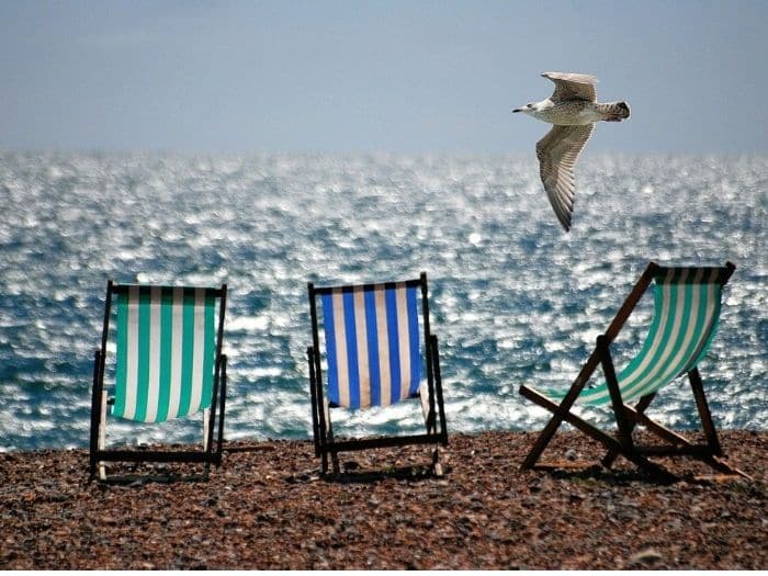 ¿Qué Signos necesitan el Mar para vivir?