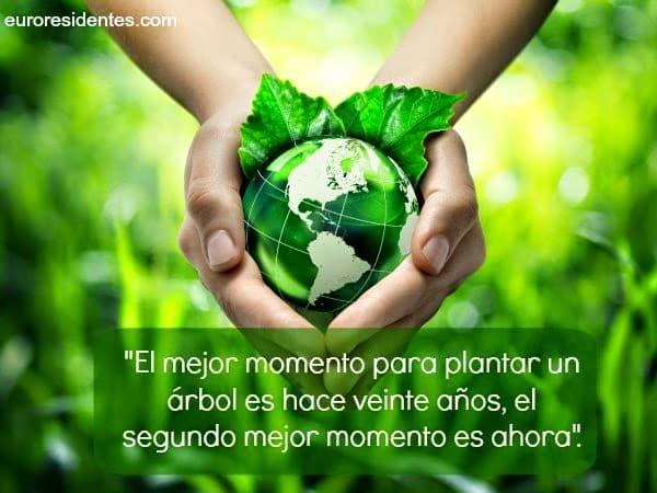 Frases para cuidar el Medio Ambiente