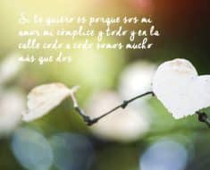 Frases de Amor de Kahlil Gibran - Frases y Citas Célebres