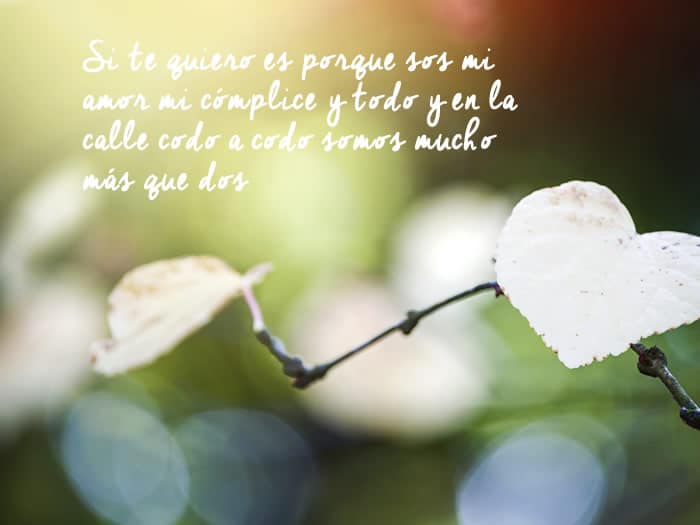 Top 70+ imagen frases de amor que rimen