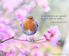 Frases sobre la primavera