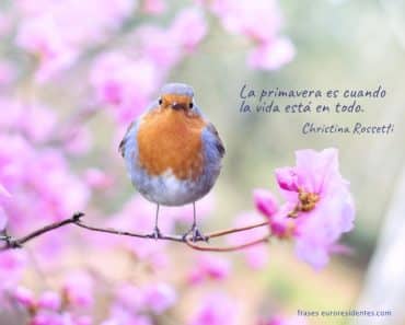 Frases sobre la primavera