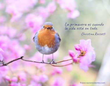 Frases sobre la primavera