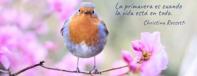 Frases sobre la primavera