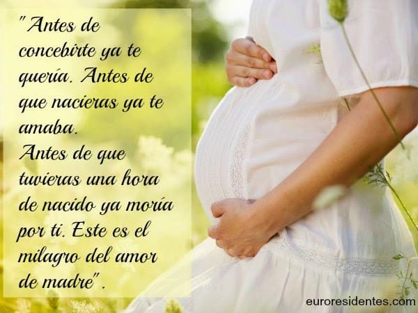 perfil de citas para madres solteras embarazadas