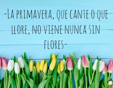 refranes de primavera euroresidentes