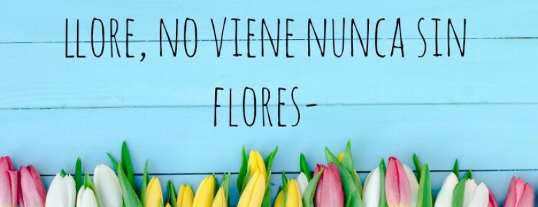 refranes de primavera euroresidentes