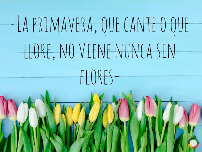 Resultado de imagen para FRASES CON PRIMAVERA