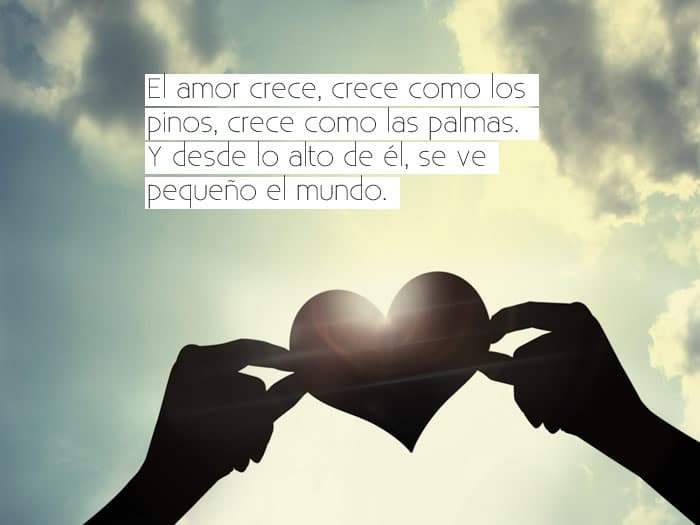 Frases de Amor Únicas - Frases y Citas Célebres