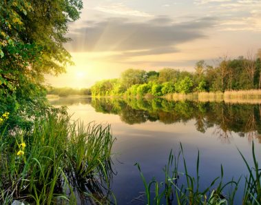 Frases Naturaleza