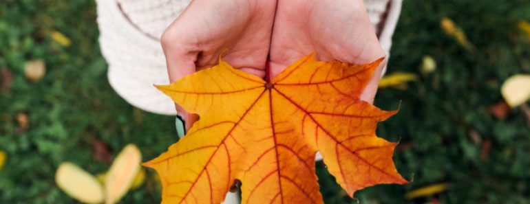 Refranes de otoño