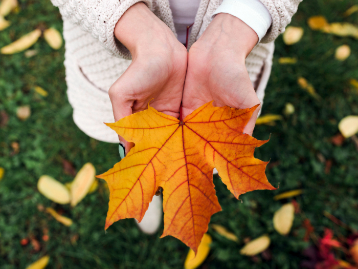 Refranes de otoño